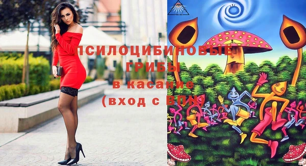 spice Алексин