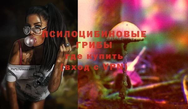 spice Алексин