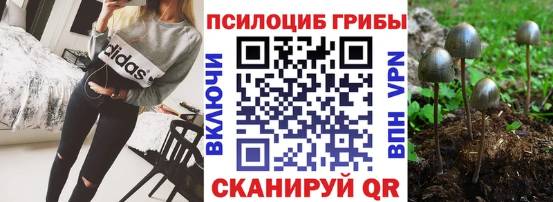 Псилоцибиновые грибы мицелий  Приволжский 